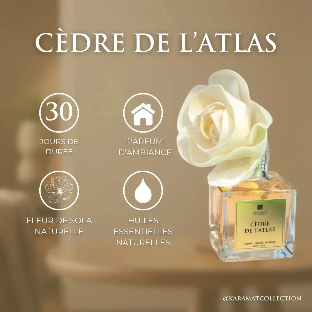 DIFFUSEUR À FLEURS 100ml – CÈDRE DE L’ATLAS Karamats.fr