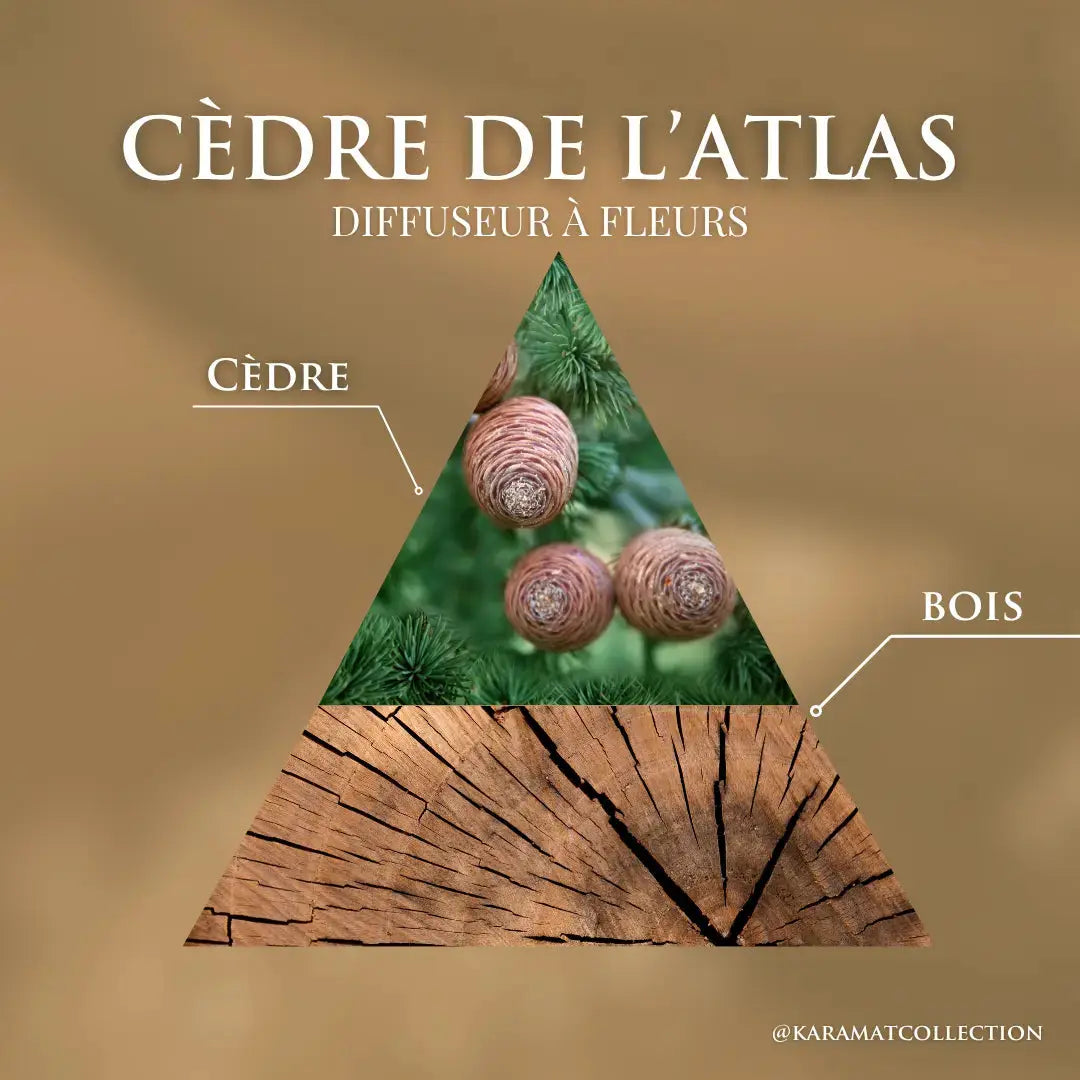 DIFFUSEUR À FLEURS 100ml – CÈDRE DE L’ATLAS Karamats.fr
