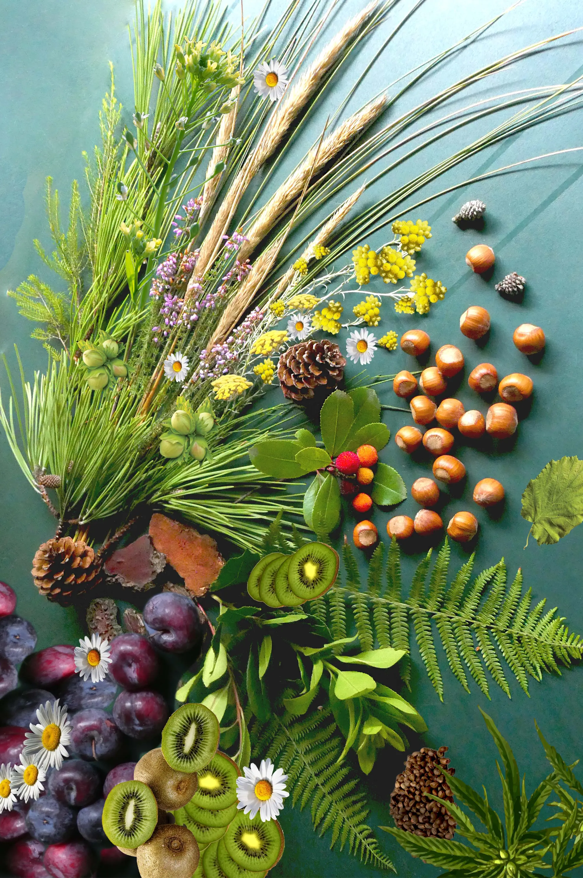 MERVEILLE DES LANDES BIO - Soin de peau Sensible Régénération Intégrale Visage Beauté & Cosmétiques