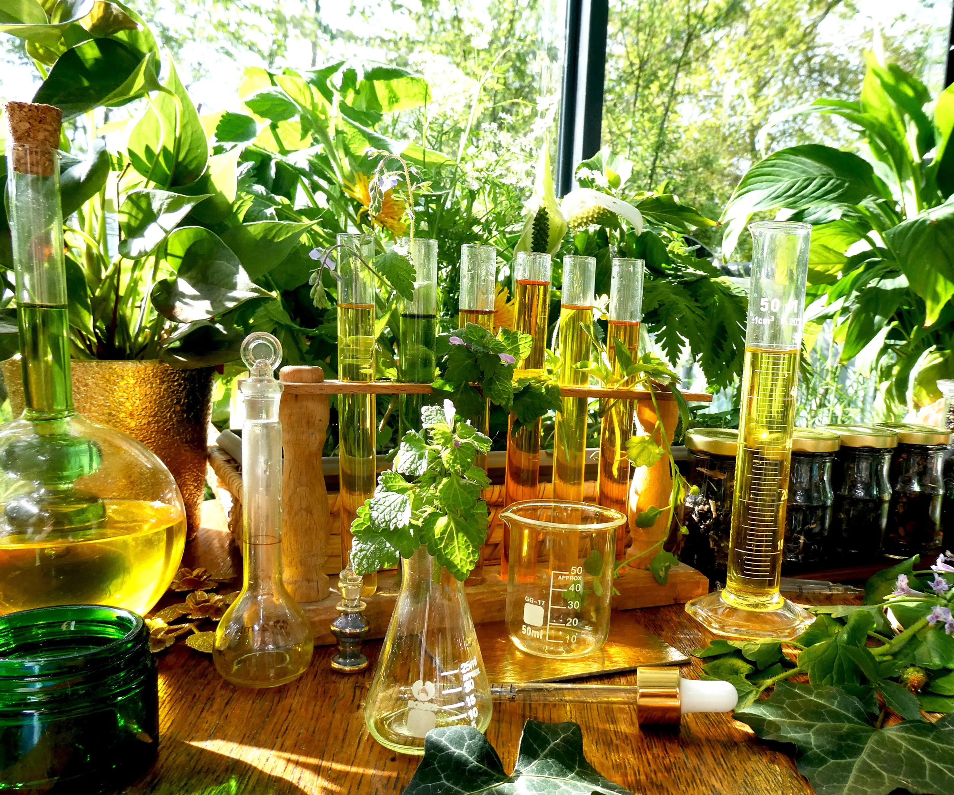 MERVEILLE DES LANDES BIO - Soin de peau Sensible Régénération Intégrale Visage Beauté & Cosmétiques