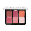 BLUR BALM blush palette #010 6 gr Catrice