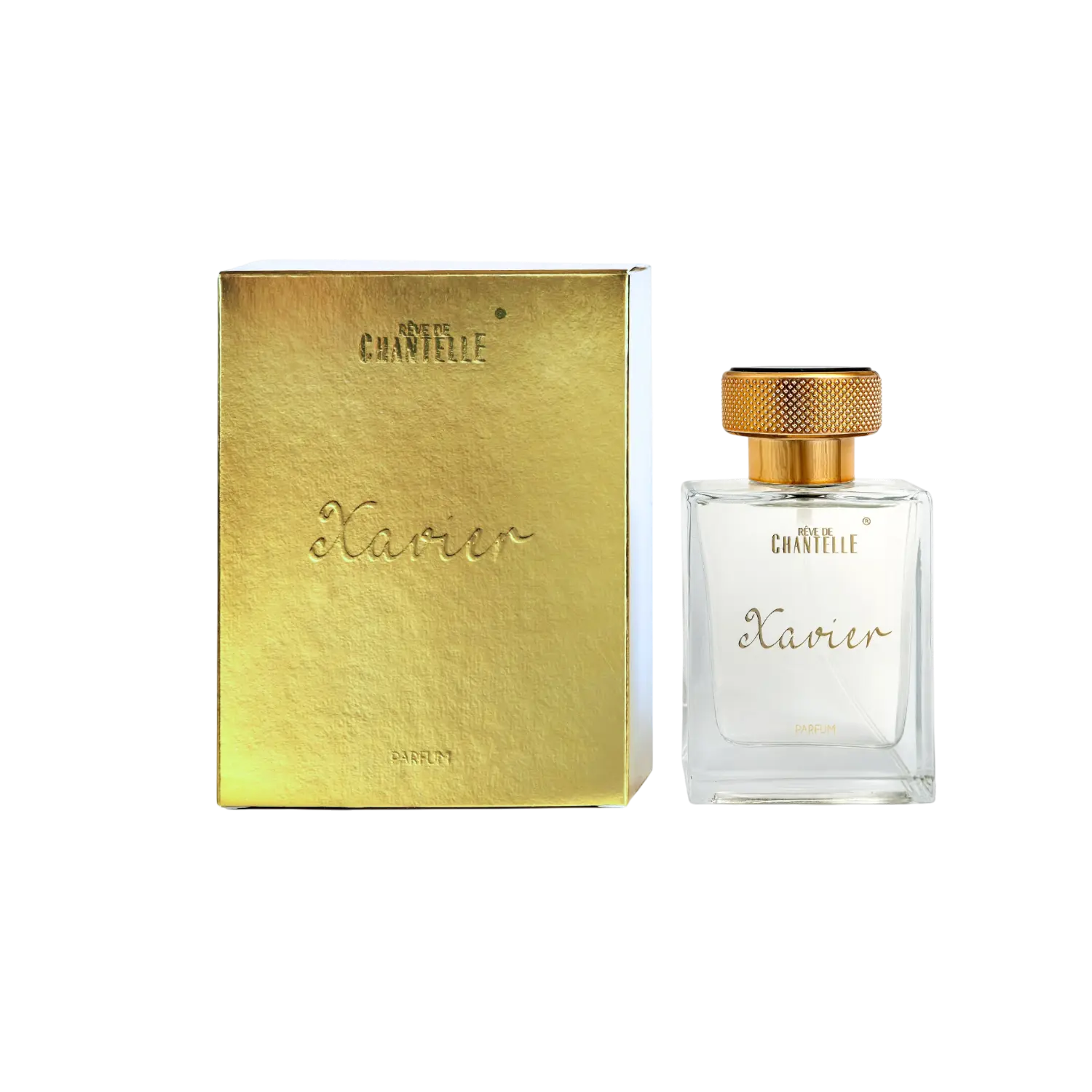 Xavier-1